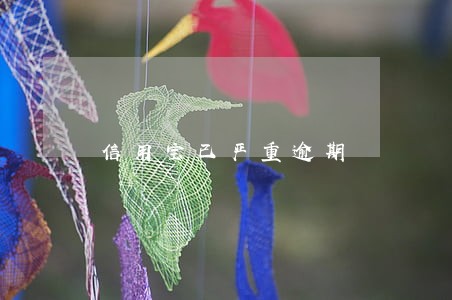 信用宝已严重逾期 信用宝已严重逾期