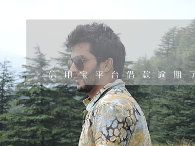 信用宝平台借款逾期了怎么办 信用宝平台借款逾期了怎么办