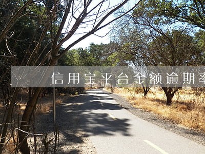 信用宝平台金额逾期率