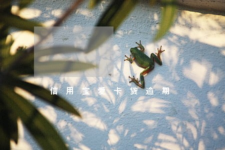 信用宝爱卡贷逾期 信用宝爱卡贷逾期