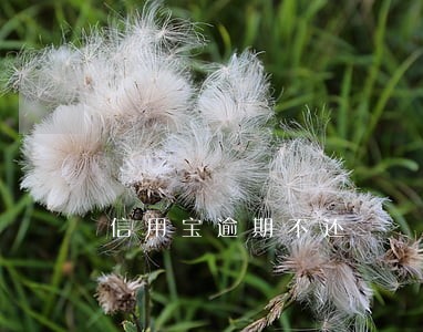 信用宝逾期不还 信用宝逾期不还