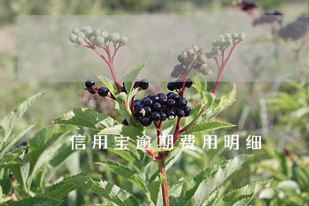 信用宝逾期费用明细 信用宝逾期费用明细