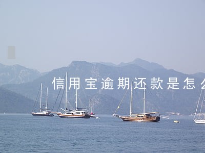 信用宝逾期还款是怎么回事 信用宝逾期还款是怎么回事