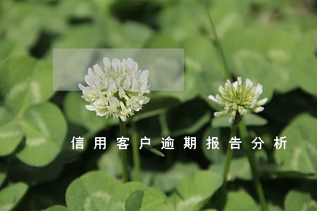 信用客户逾期报告分析