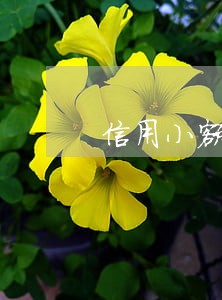 信用小额逾期能转深户吗 信用小额逾期能转深户吗