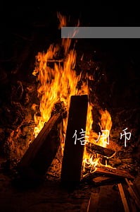 信用币逾期一天上征信 信用币逾期一天上征信