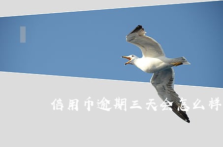 信用币逾期三天会怎么样 信用币逾期三天会怎么样