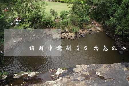 信用币逾期了5天怎么办 信用币逾期了5天怎么办