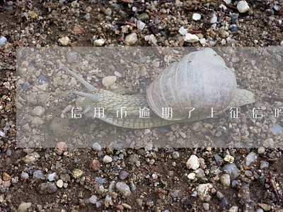 信用币逾期了上征信吗 信用币逾期了上征信吗