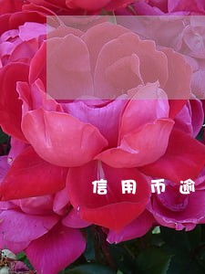 信用币逾期了怎么还 信用币逾期了怎么还