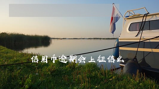信用币逾期会上征信么 信用币逾期会上征信么