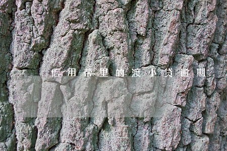 信用帮里的渡小贷逾期 信用帮里的渡小贷逾期
