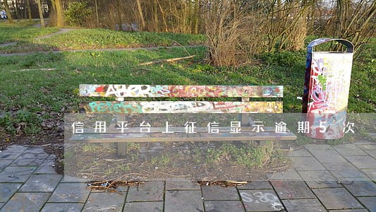 信用平台上征信显示逾期5次 信用平台上征信显示逾期5次