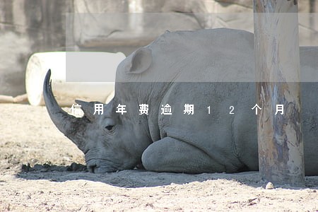 信用年费逾期12个月 信用年费逾期12个月