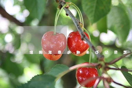 信用年费逾期未还记录怎么消