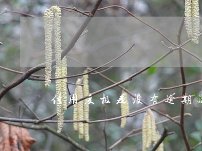信用度极差没有逾期过