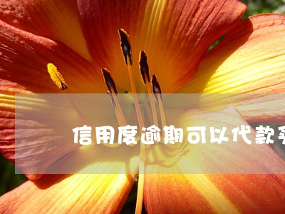 信用度逾期可以代款买房吗 信用度逾期可以代款买房吗