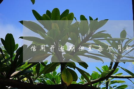 信用开逾期但是每个月都在还