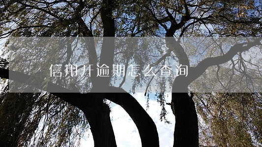 信用开逾期怎么查询 信用开逾期怎么查询