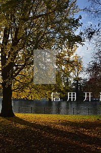 信用开逾期贷款成功 信用开逾期贷款成功