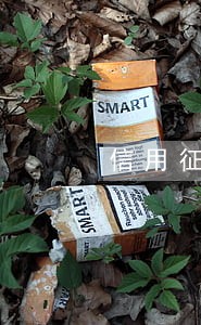 信用征信中逾期怎么查哪行 信用征信中逾期怎么查哪行