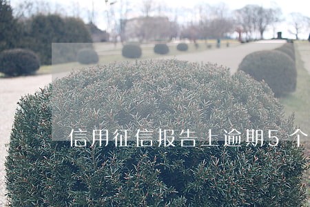 信用征信报告上逾期5个月 信用征信报告上逾期5个月