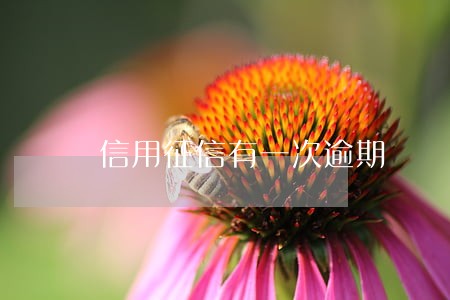 信用征信有一次逾期 信用征信有一次逾期