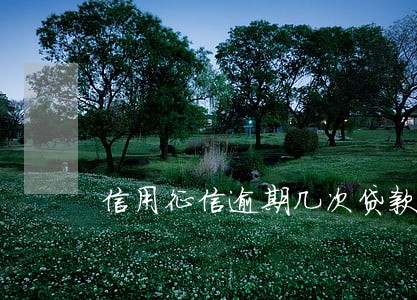 信用征信逾期几次贷款 信用征信逾期几次贷款