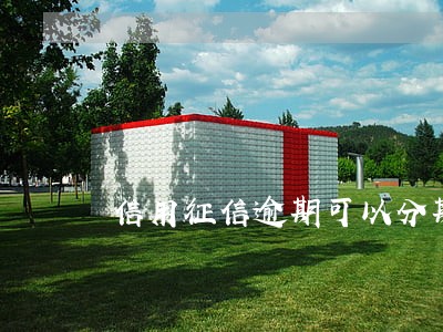 信用征信逾期可以分期买车吗 信用征信逾期可以分期买车吗