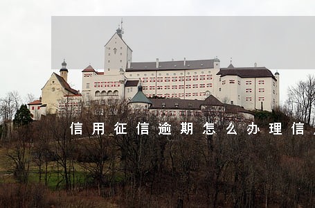 信用征信逾期怎么办理信用卡 信用征信逾期怎么办理信用卡