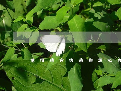 信用待守约逾期怎么办 信用待守约逾期怎么办