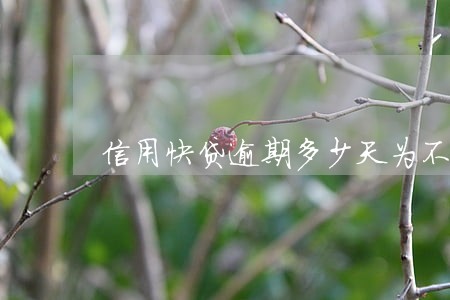 信用快贷逾期多少天为不良 信用快贷逾期多少天为不良