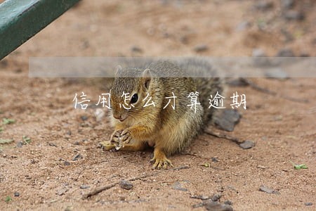 信用怎么才算逾期 信用怎么才算逾期