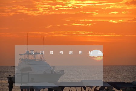 信用投资逾期利息 信用投资逾期利息