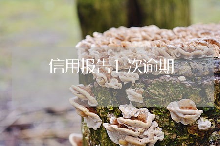 信用报告1次逾期 信用报告1次逾期