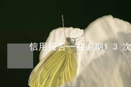 信用报告一共逾期13次