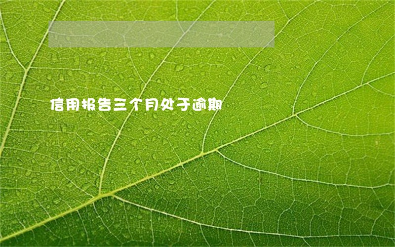 信用报告三个月处于逾期 信用报告三个月处于逾期