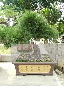 信用报告上会有一次逾期记录 信用报告上会有一次逾期记录