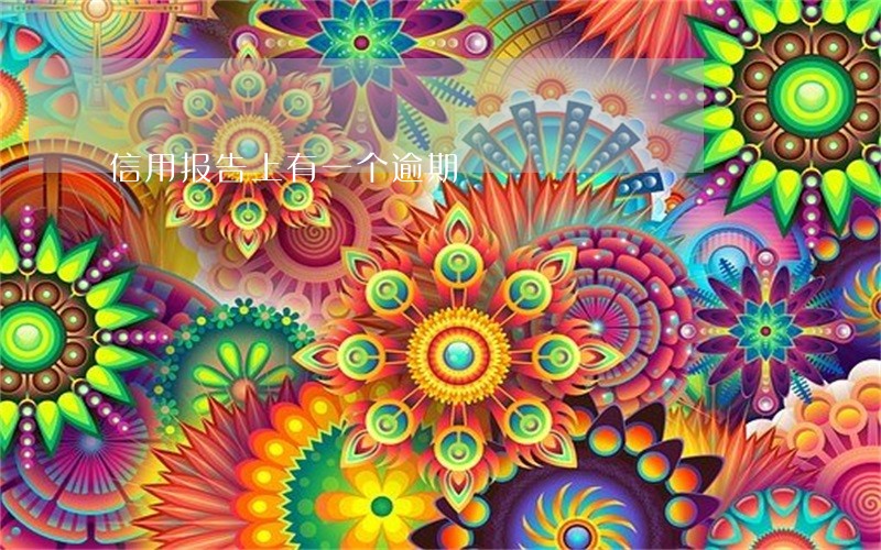 信用报告上有一个逾期 信用报告上有一个逾期