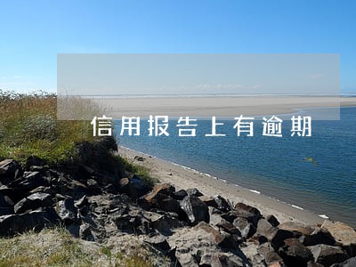 信用报告上有逾期 信用报告上有逾期