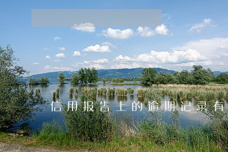 信用报告上的逾期记录有啥影响 信用报告上的逾期记录有啥影响