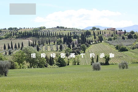 信用报告两个月逾期 信用报告两个月逾期