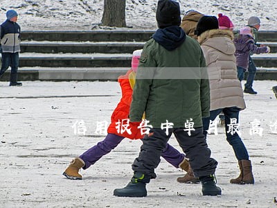 信用报告中单月最高逾期总额6 信用报告中单月最高逾期总额6