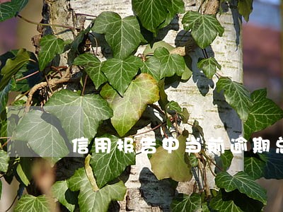 信用报告中当前逾期总额6 信用报告中当前逾期总额6