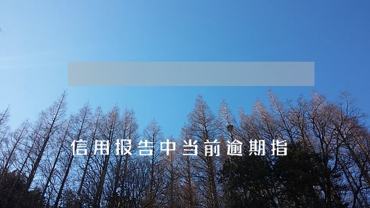 信用报告中当前逾期指