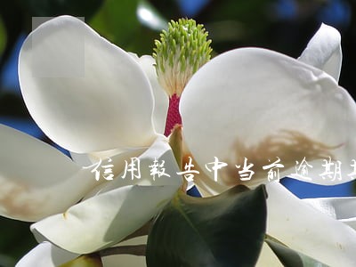 信用报告中当前逾期期数是什么 信用报告中当前逾期期数是什么