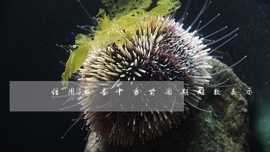 信用报告中当前逾期期数表示