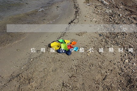 信用报告中最长逾期时间 信用报告中最长逾期时间