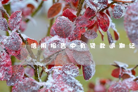 信用报告中有贷款逾期记录 信用报告中有贷款逾期记录