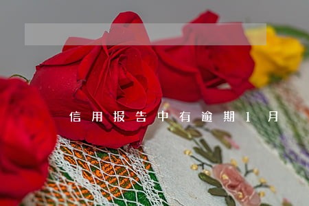 信用报告中有逾期1月